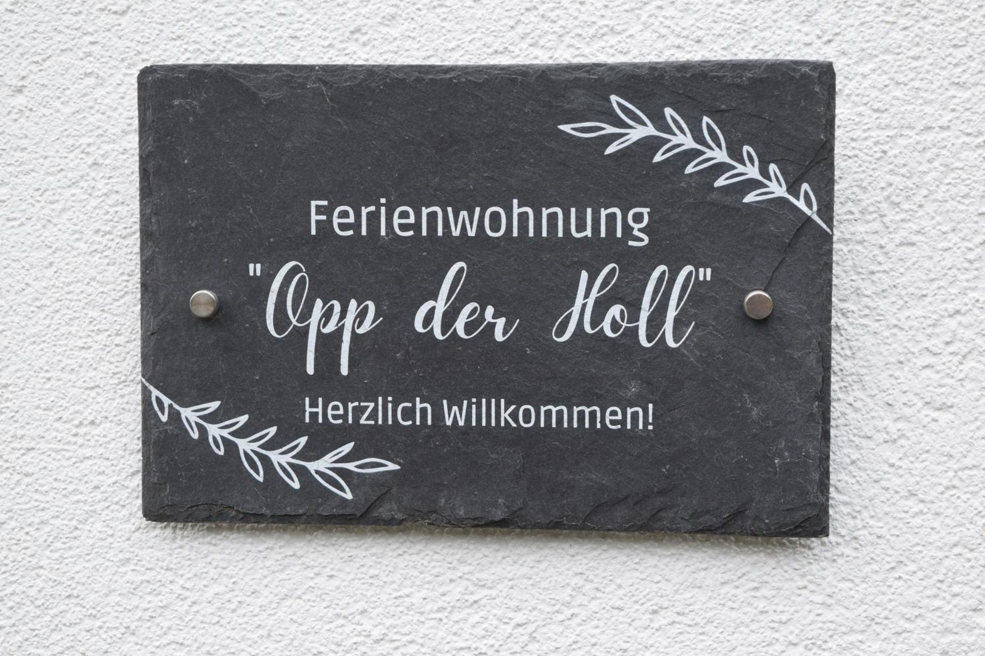 Ferienwohnung In Der Vulkaneifel "Opp Der Holl" Brockscheid Exterior foto